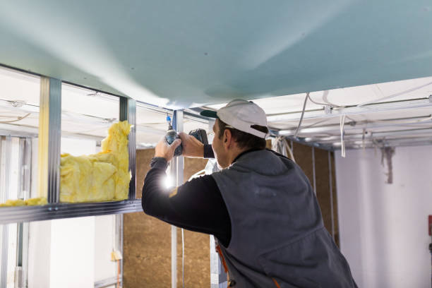 Best Insulation Repair Services  in Thatcher, UT